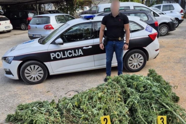 PRONAĐENO OKO 50 KILOGRAMA DROGE U DVORIŠTU KUĆE! Policija sve oduzela (FOTO)