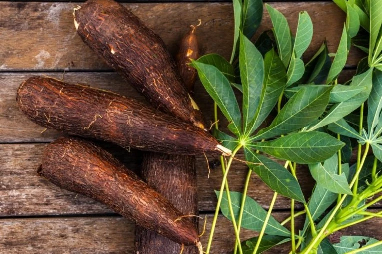 Svi je jedu, ali ne znaju da je NAJOPASNIJA NAMIRNICA: Ubije 200 ljudi širom sveta, greška je u PRIPREMI