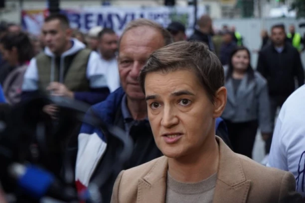BRNABIĆ RASTURILA BLOKADERE U BUNDESTAGU: "Imali su prvi put priliku da čuju i drugu stranu"!