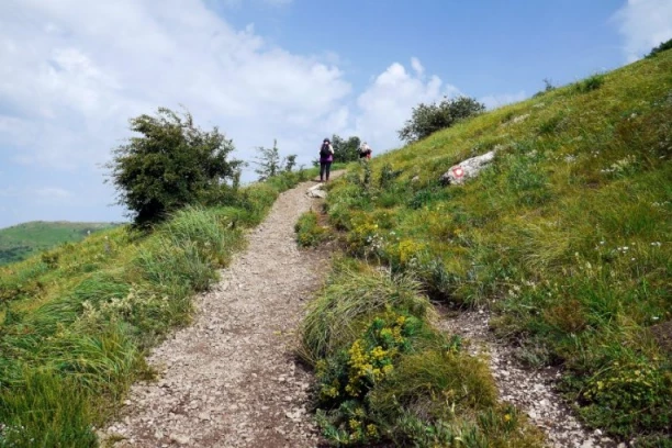 JEZIVA PRIČA IZ SOKOBANJE! 7 devojaka nestalo, SAMO JEDNA PREŽIVELA!