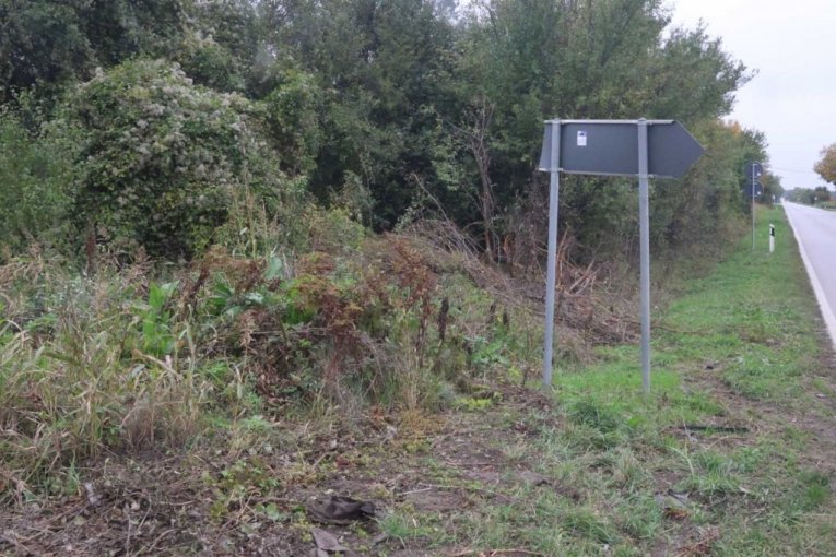 Mateja Đorđević potresna ispovest oca