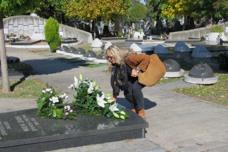 Verica Dravić, bratanica Milene Dravić