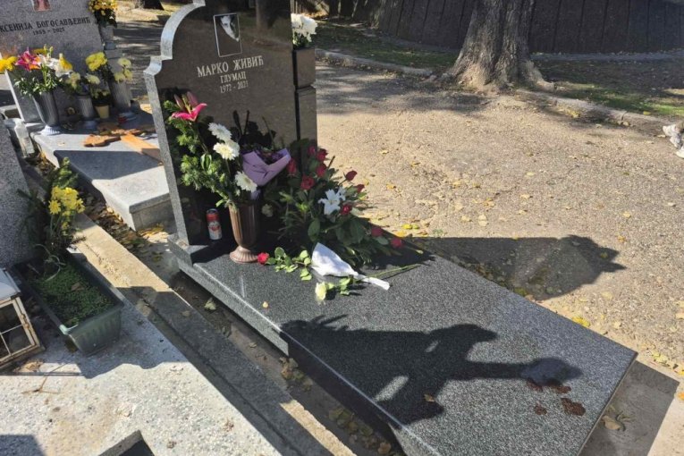 Grob Marka Živića