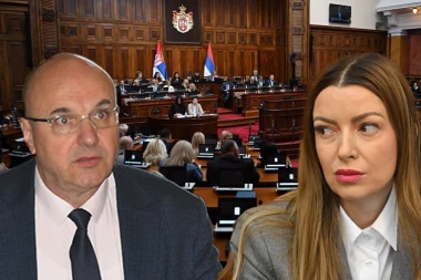 MINISTARKA MESAROVIĆ DEMOLIRALA BORISLAVA NOVAKOVIĆA: Koliko zna o bankarskim procedurama, vidi se na primeru Bulevara Evrope!