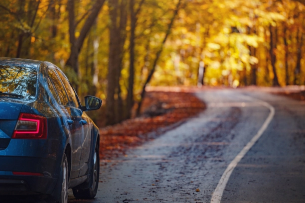 Jesen na putu: Nema mesta iznenađenjima – obezbedite svoje vozilo uz AMS Osiguranje