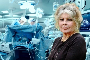 POZNATO STANJE BRIŽIT BARDO!