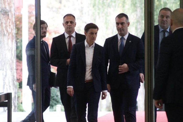 Ana Brnabić, Vladimir Orlić