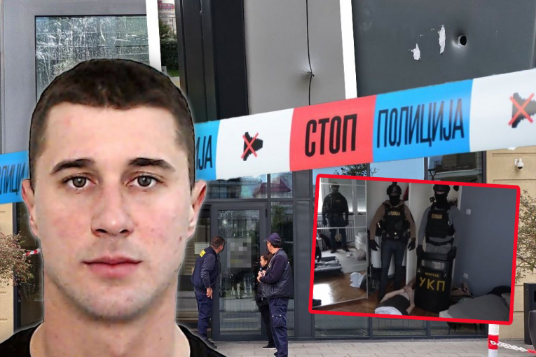 INDICTMENT FILED FOR MURDER IN BELGRADE WATERFRONT! "Skaljarac" handed two suitcases, then shot in the back!