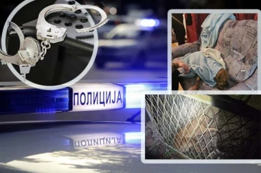 POGLEDAJTE SNIMAK HAPŠENJA ORGANIZATORA BORBI PASA! Policija upala na borilište, tamo bili i Srbi! (VIDEO)