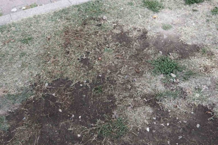 Republika, Vladimir Lukić