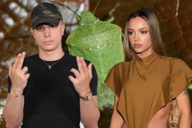 VOJAŽ ILI SMRDIBUBA?! Breskvica birala između bivšeg dečka i najvećeg straha - ŠOKIRAĆE VAS NJEN ODGOVOR!