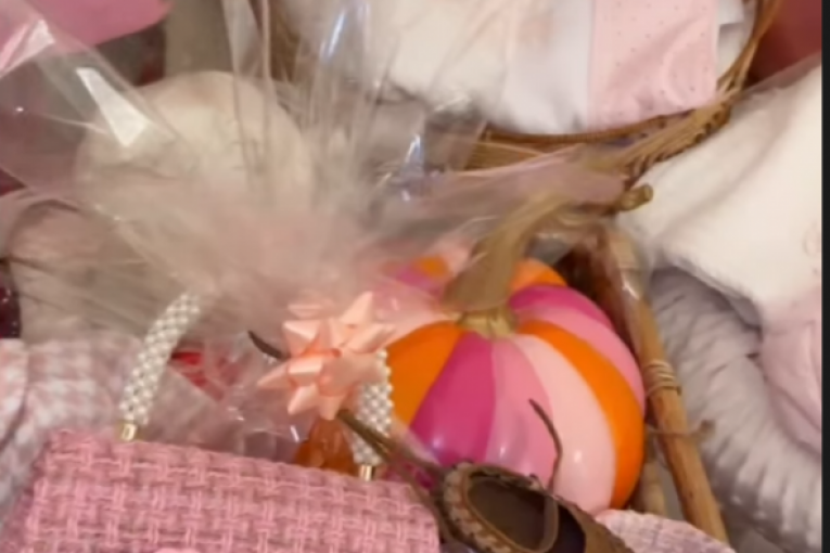 Dragana Mirković postala baka