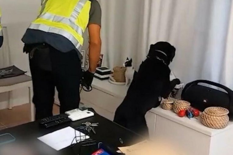 Hapšenje balkanskog kartela