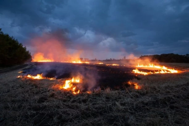 JEDAN TRENUTAK NEPAŽNJE JE POTREBAN DA VATRA IZMAKNE KONTROLI: Iz MUP apeluju na građane da ne pale travu i nisko rastinje! (VIDEO)