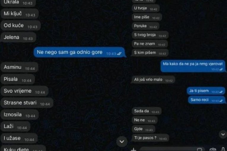 Hana Duvnjak razotkrila Situ