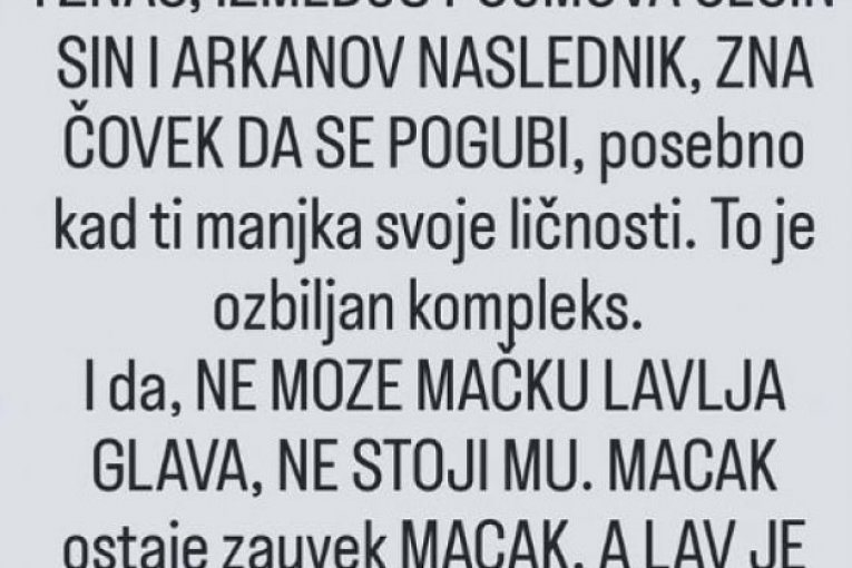 Jovana Jeremić Veljko Ražnatović