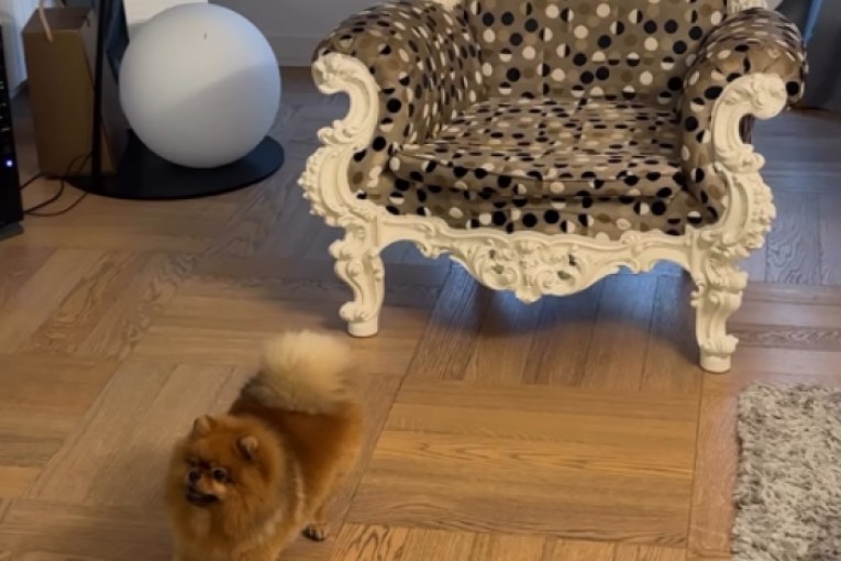 Mirka Vasiljević Instagram