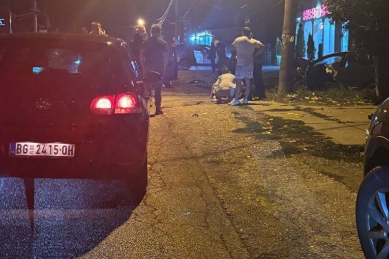 Udes u Sremčici