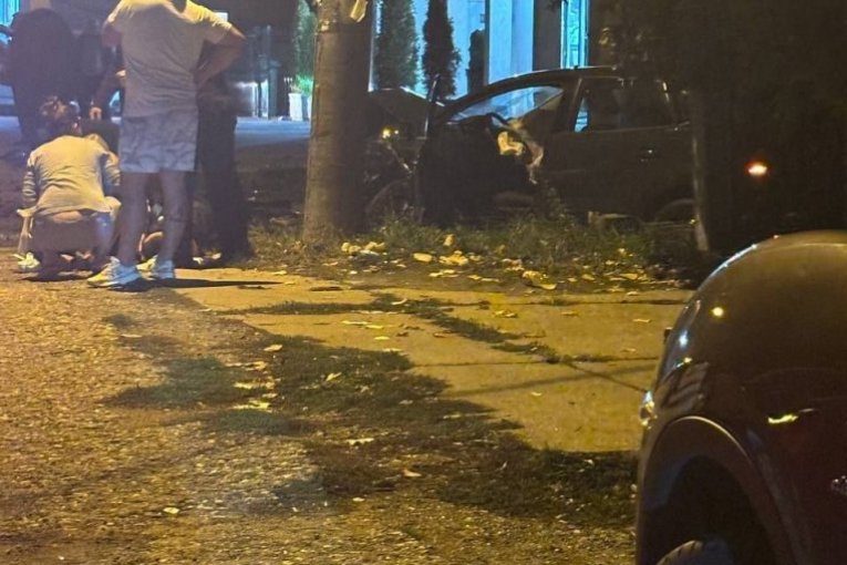 Udes u Sremčici