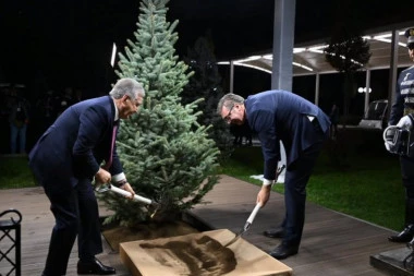 VUČIĆ I PREDSEDNIK UZBEKISTANA POSADILI DRVO PRIJATELJSTVA! Simbol saradnje i poverenja u novoj eri odnosa Beograda i Taškenta (FOTO)