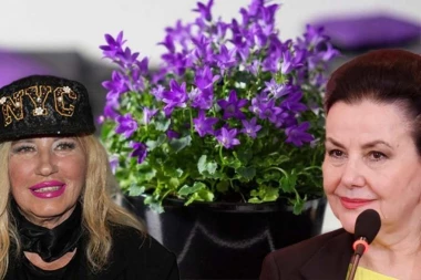 NADA TOPČAGIĆ NAZVALA SNEŽANU SAVIĆ SAKSIJOM! Pevačica bez dlake na jeziku oplela po glumici!