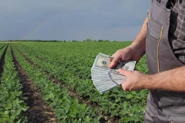 ULAGANJA NISU VELIKA I BRZO SE ISPLATE! Od ovi biljaka možete godišnje zaraditi i do 6.500 evra!