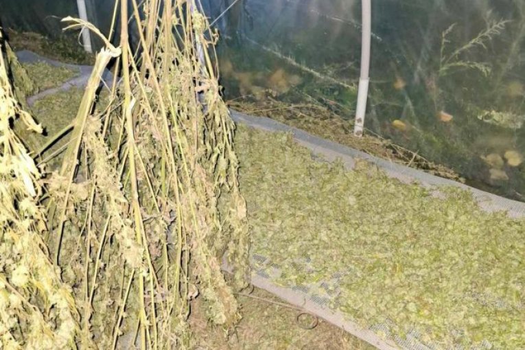 TANJUG/ OMK MUP REPUBLIKE SRBIJE