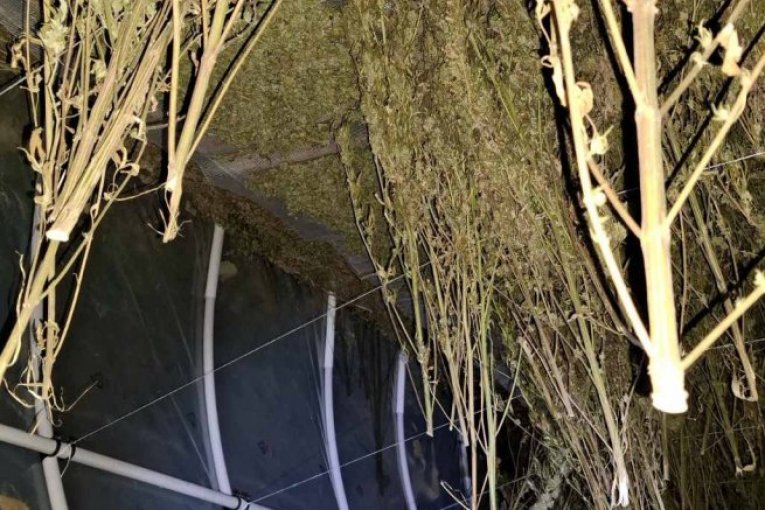 TANJUG/ OMK MUP REPUBLIKE SRBIJE