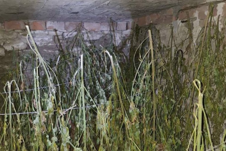 TANJUG/ OMK MUP REPUBLIKE SRBIJE