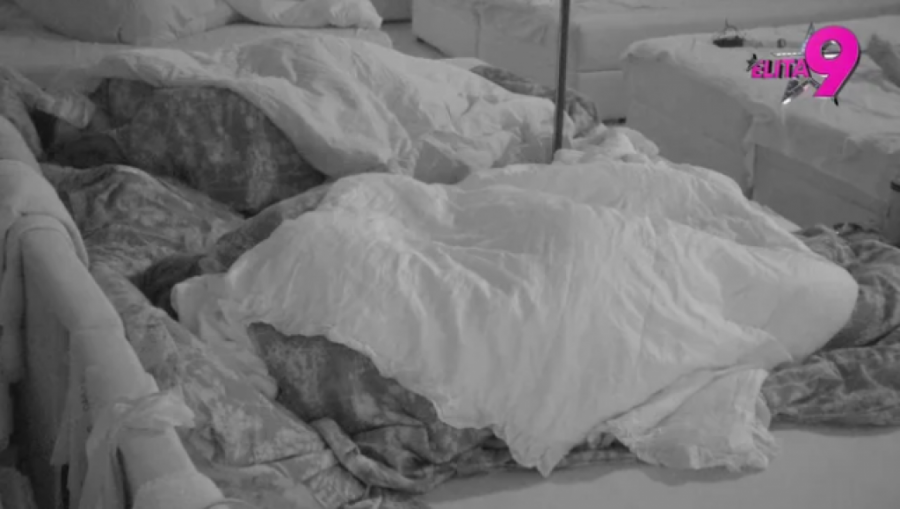 NOVA TURA IŽIVLJAVANJA POD POKRIVAČEM, UKUĆANI POSMTRALI DIVLJU VRELU AKCIJU: Učesnici jedva dočekali kraj emisije, pa krenuli da divljaju!