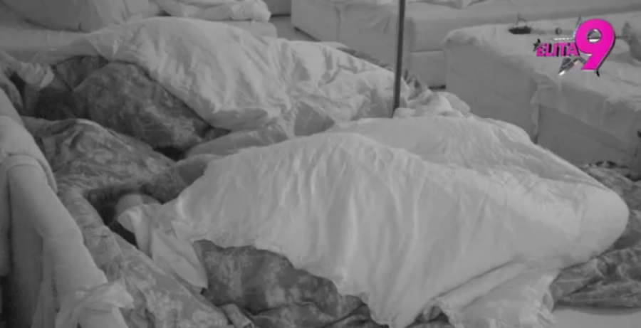 NOVA TURA IŽIVLJAVANJA POD POKRIVAČEM, UKUĆANI POSMTRALI DIVLJU VRELU AKCIJU: Učesnici jedva dočekali kraj emisije, pa krenuli da divljaju!