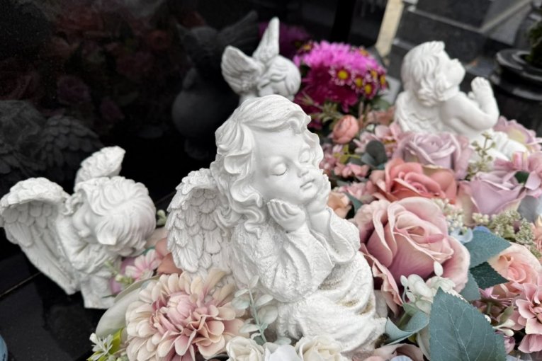 Grob Saše Popovića