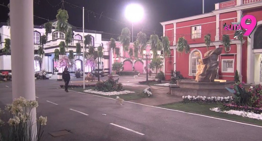 SUOČAVANJE TERZE I ANĐELA OČI U OČI ZBOG AFERE SA MILICOM VELIČKOVIĆ! Ranković POKUŠAVA da izbegne PRIZNANJE!