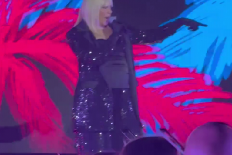 Trudna Milica Todorović