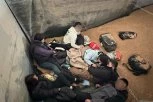 SPREČENO KRIJUMČARENJE LJUDI U ŠIDU! Šest migranata se krilo u pšenici! (FOTO)