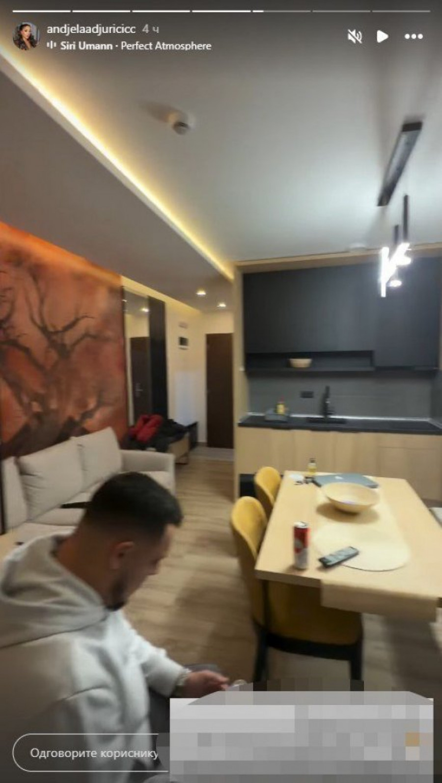 ISPLIVALA NAJNOVIJA INFORMACIJA O VEZI GASTOZA I ANĐELE! Đuričićeva se oglasila i sve OBELODANILA!