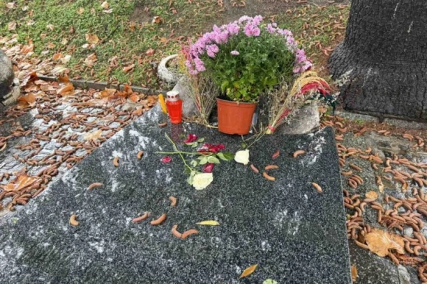 OVDE POČIVA ČUVENI ŽIKA PAVLOVIĆ! Gidra je sahranjen pre 32 godine, ćerkina ispovest o POSLEDNJIM danima će vas RASPLAKATI! (VIDEO)