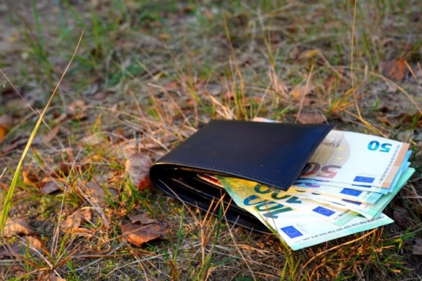 POŠTENJE JOJ SE OBILO O GLAVU: U šumi pronašla 363.000 evra i UMESTO DA DOBIJE NAGRADU MORA JOŠ I DA PLATI