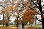 METEOROLOG OTKRIVA: Kakva nas jesen očekuje nakon PAKLENOG LETA
