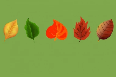 TEST LIČNOSTI koji nepogrešivo pogađa: Jednostavan način koji otkriva vašu skrivenu snagu (FOTO)