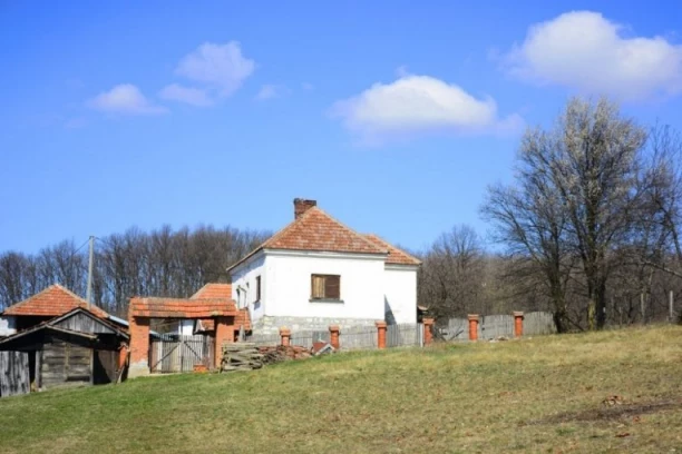 CELO DOMAĆINSTVO ZA 40.000 EVRA! Useljiva kuća, plac od 60 ari  - garaža, pomoćni objekti i još nešto zbog čega će odmah da se proda! (FOTO)
