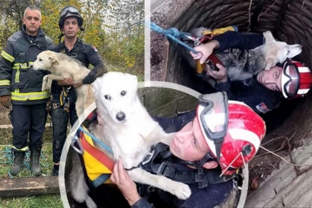 KAKAV GEST VATROGASACA-SPASILACA! Štene upalo u bunar, oni odmah pohitali da ga spasu - SCENE KOJE ĆE RAZNEŽITI I NAJTVRĐA SRCA! (FOTO)