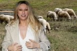 RADA MANOJLOVIĆ KUPUJE STADO OVACA: Sve joj dozlogrdilo, rešila da pokrene OZBILJAN BIZNIS!