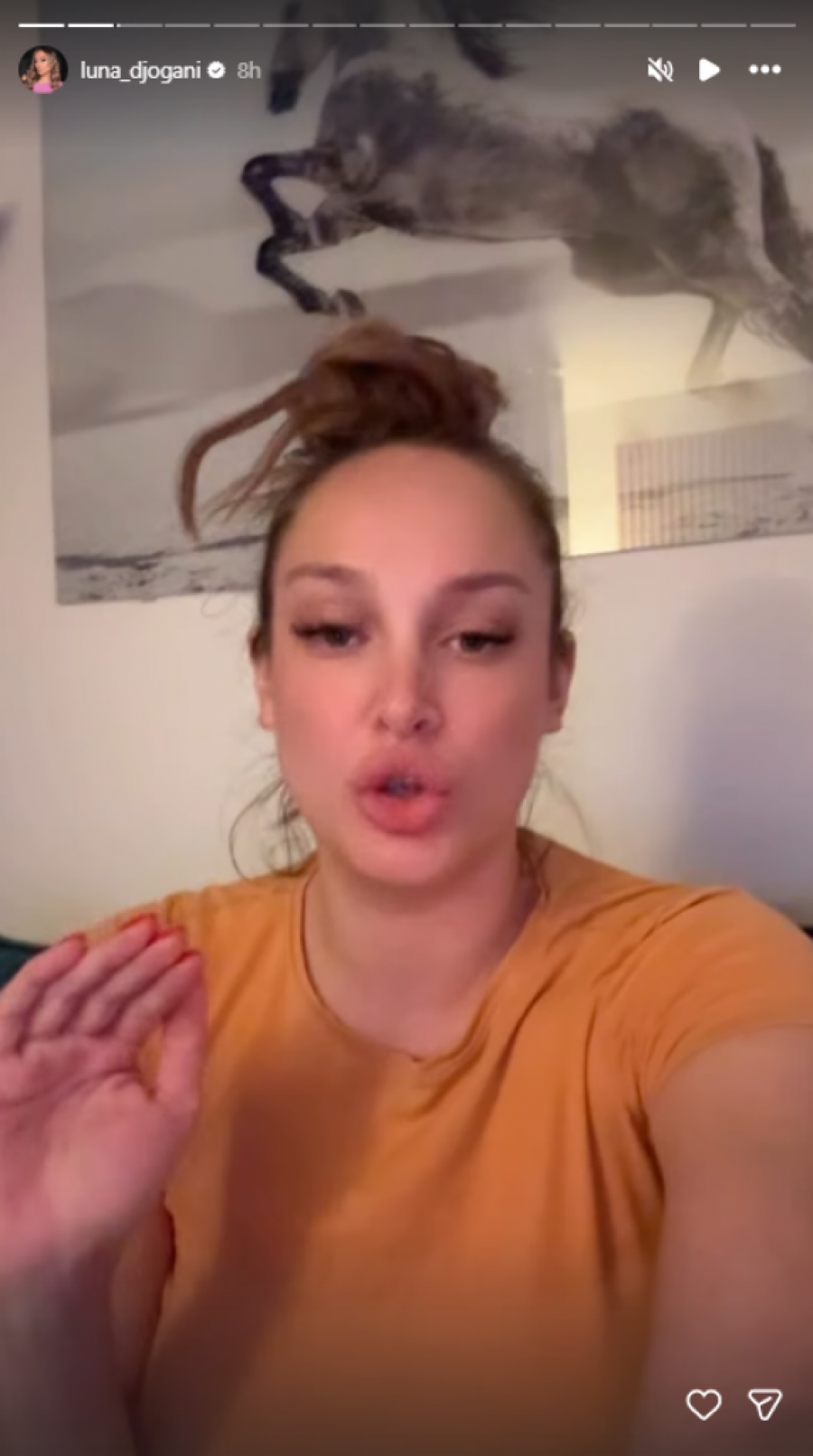 CENOVNIK LUNE ĐOGANI DOVEO MREŽE DO USIJANJA, OGLASILA SE INFLUENSERKA: Može i 15.000 evra za stori!