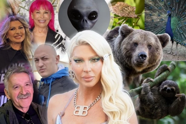 VIKI JE SMRDIBUBA, A BOSANAC... Karleuša kolege uporedila sa ŽIVOTINJAMA, Desingerica POLUDEO! (VIDEO)