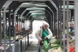 PIJACE U BEOGRADU OTVORENE ZA PRAZNIK: Pogledajte radno vreme!