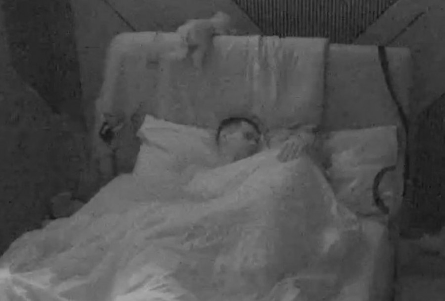 DIVLJAČKO IŽIVLJAVANJE POD JORGAN-PLANINOM, TRESU SE ZIDOVI IZOACIJE! Aneli povukla odlučujuć korak - SCENE KAO IZ FILMOVA ZA ODRASLE! (GALERIJA)