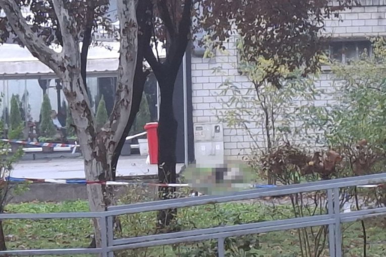 Likvidacija na Novom Beogradu