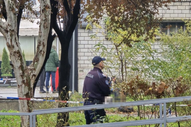 Ubistvo na Novom Beogradu