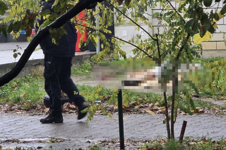 Likvidacija na Novom Beogradu